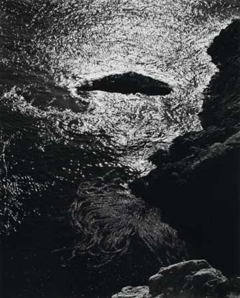 Edward Weston: His Life and Photographs by Edward Weston artist at ...