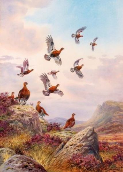 Grouse Taking Off by Carl Donner artist at Keys Fine Art Auctioneers ...