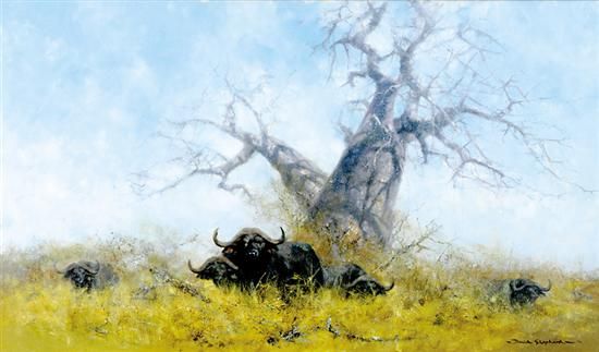 CAPE BUFFALO UNDER BAOBAB TREE by David Shepherd artist at Charlton ...