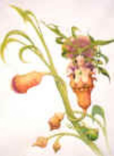 gumnut-woman