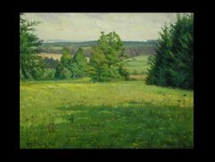 waldlandschaft
