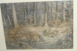 rehe-auf-lichtung