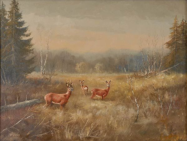 ein-sprung-rehe
