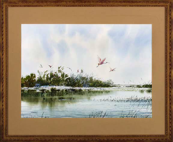 roseate-spoonbills