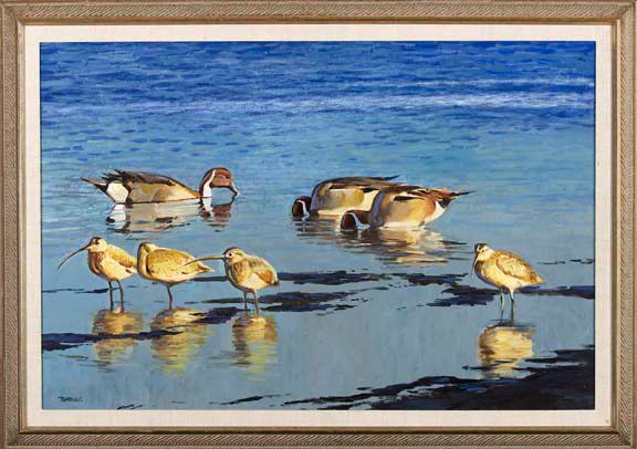 waterfowl
