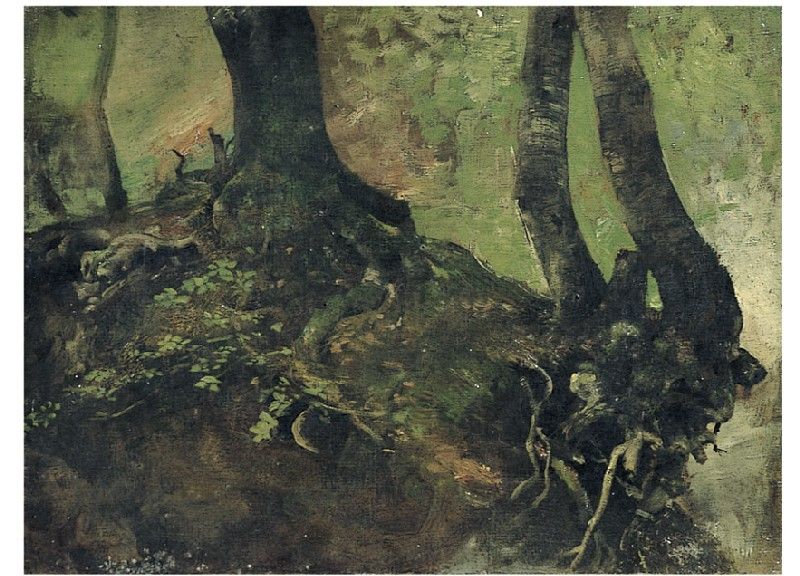 studio-di-alberi