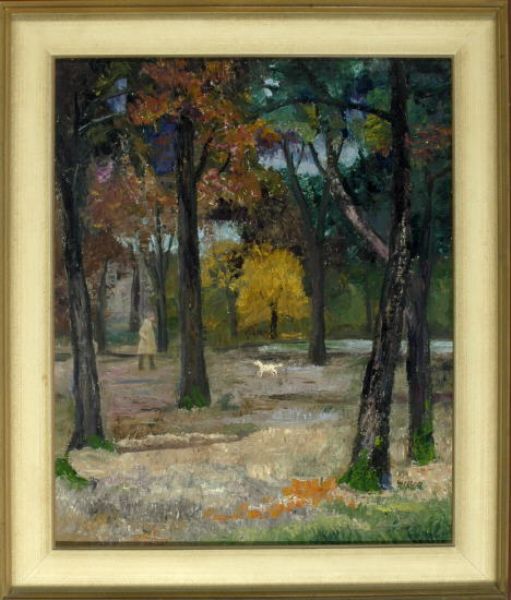 spazierganger-mit-hund-im-herbstlichen-park