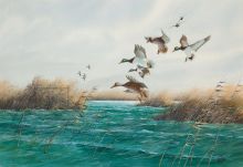 ducks-in-flight