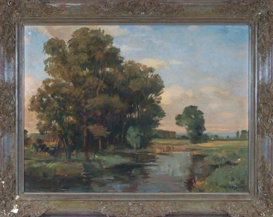 baume-am-bachlauf-in-weiter-landschaft