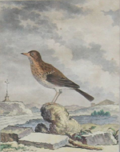 histoire-naturelle-1795