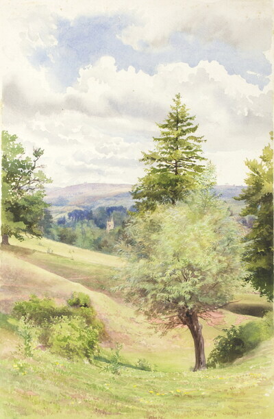 landscape-at-wookey
