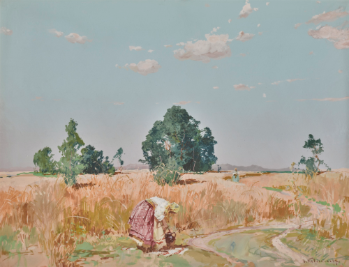 wheat-field